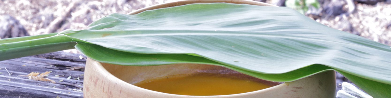 Kuleana Consulting LLC